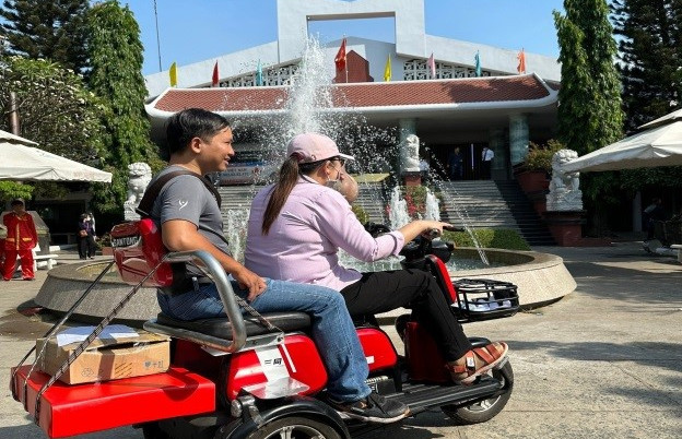Hỏa táng thú cưng, Thiêu hủy chó mèo